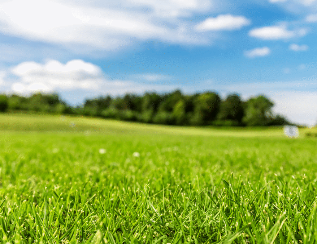 Opinion: Renewables and Natural Gas Together Can Help Us Fight Climate Change